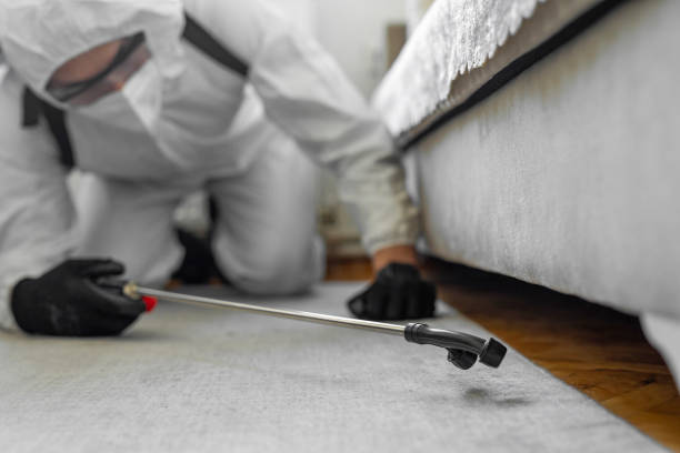 Professional Termite Control technician working in Charlack, MO