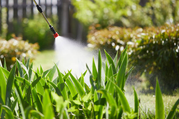 24/7 Emergency Termite Control experts in Charlack, MO