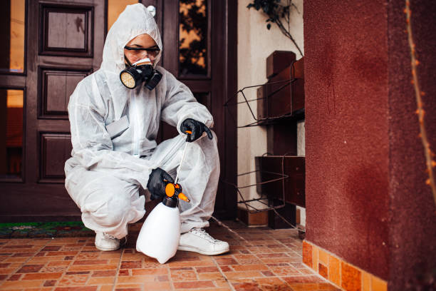 Reliable Termite Control contractor in Charlack, MO by Nex Pest Control